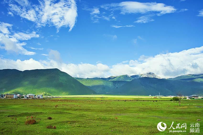 納帕海濕地風(fēng)景。呂昊辰攝