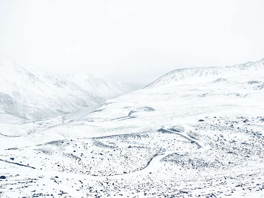 資料圖。云南白馬雪山國家級(jí)自然保護(hù)區(qū)供圖