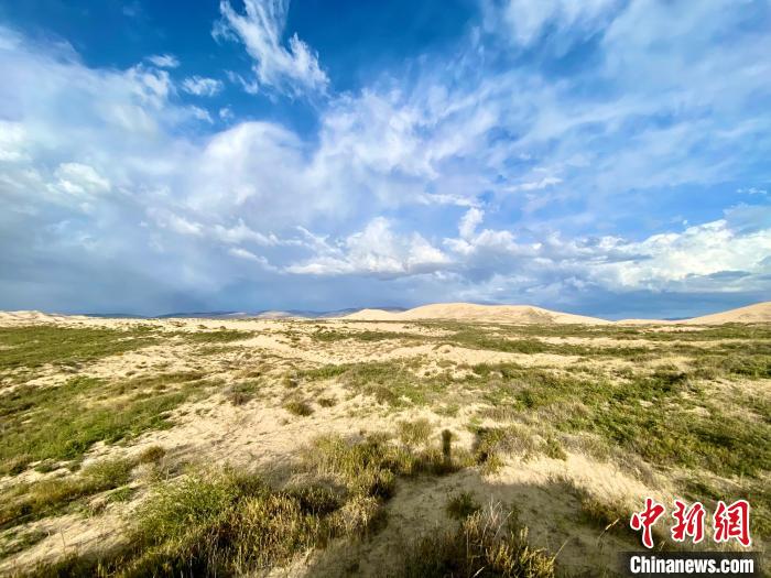 圖為關(guān)停四年后的沙島景區(qū)現(xiàn)狀。　李江寧 攝