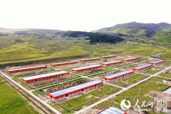 建設(shè)中的理塘縣牦牛產(chǎn)業(yè)園。葉強(qiáng)平攝