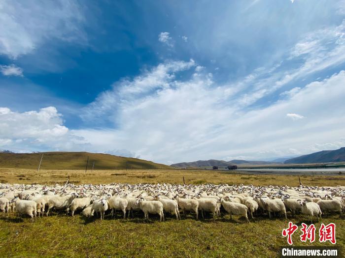 三江源國家公園：科技畜牧支撐生態(tài)保護和區(qū)域經濟協調發(fā)展