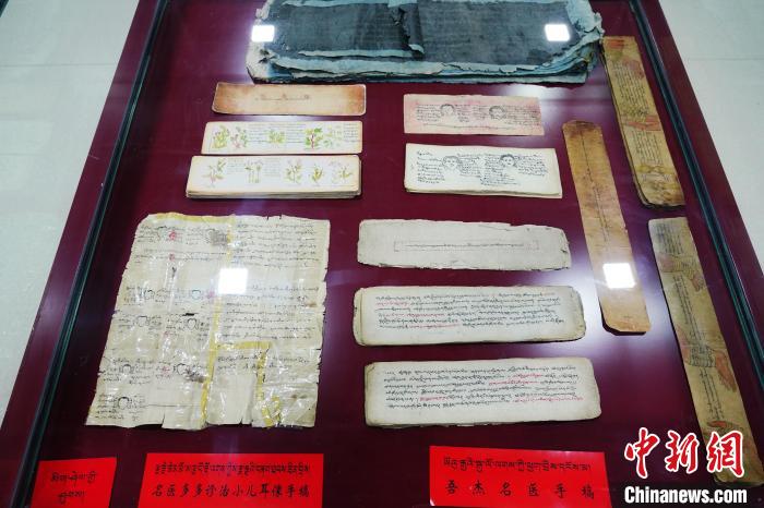 圖為藏醫(yī)古集文獻和藏醫(yī)臨床原始手稿。　馬銘言 攝