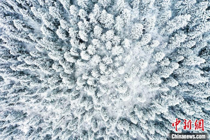 壤塘的雪后美景?！∪捞量h融媒體中心供圖