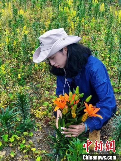 村民采摘百合花?！∪捞量h委宣傳部供圖