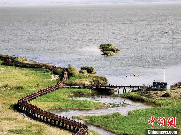 圖為都蘭湖國家濕地公園觀光棧道?！∑钤鲚?攝