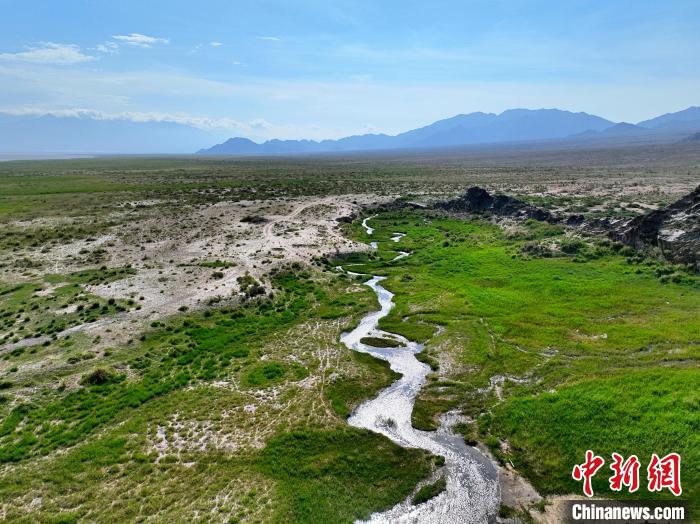 圖為航拍都蘭湖國家濕地公園綠意盎然?！∑钤鲚?攝