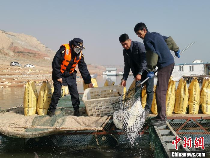甘肅牦牛乳制品拓展南亞合作民族特色產(chǎn)品闖海外市場(chǎng)