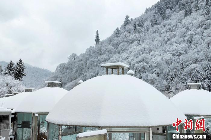 大熊貓國家公園王朗片區(qū)春雪如畫，宛若仙境?！×_春平 攝