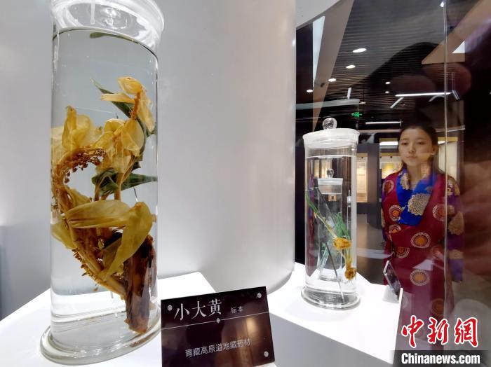 青海中藏醫(yī)藥發(fā)展提速：建設(shè)一批重點(diǎn)專(zhuān)科學(xué)科，推廣一批適宜技術(shù)