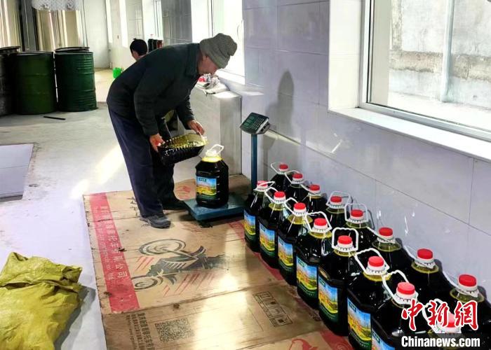 圖為高原油菜籽榨出的菜籽油?！埖么?攝