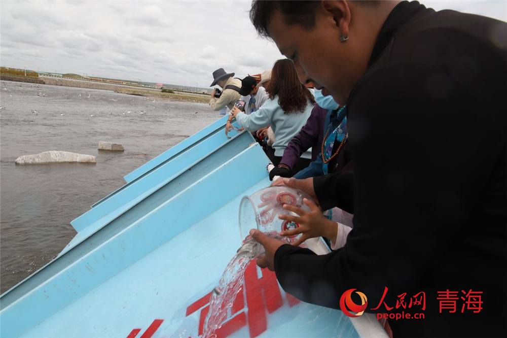 群眾放流青海湖裸鯉。人民網 陳明菊攝