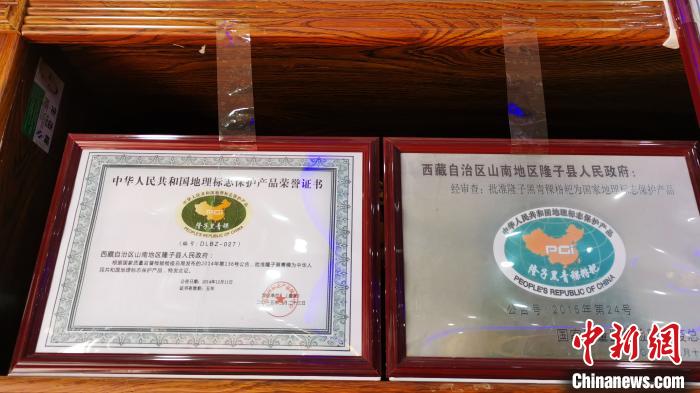 圖為2015年，隆子黑青稞成為中國國家地理標(biāo)志保護(hù)產(chǎn)品。　張偉 攝