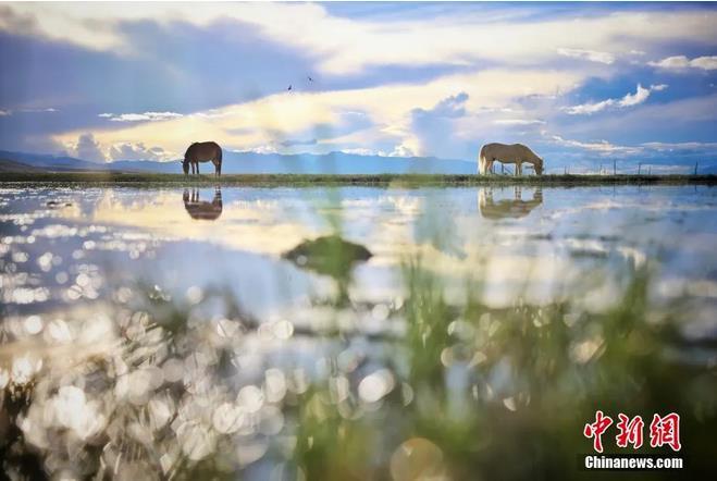 資料圖：那曲市申扎縣境內(nèi)的濕地。李雪峰 攝
