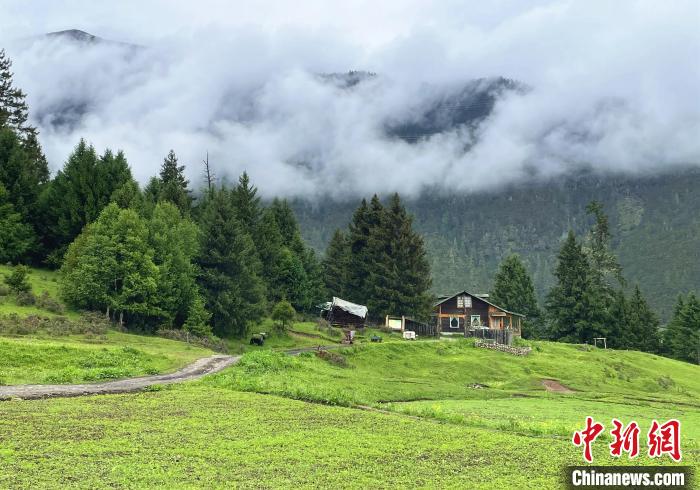 6月10日，魯朗小鎮(zhèn)高山牧場景區(qū)風(fēng)光?！∪轿木?攝