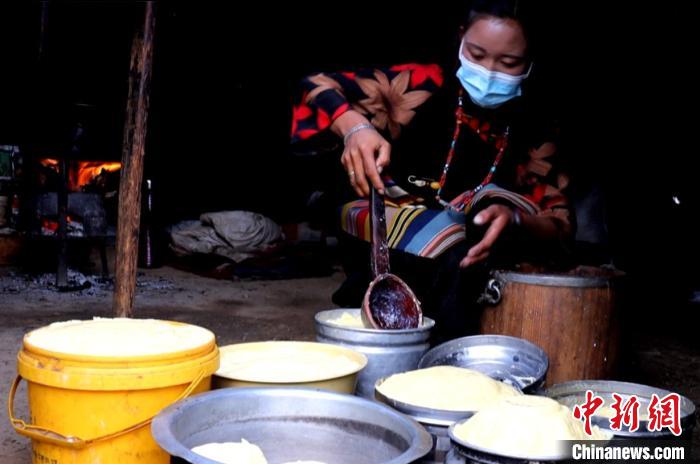 圖為牧民正在制作酥油?！∪湛t文聯(lián)供圖
