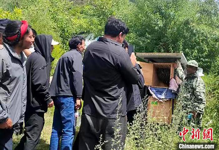 拉久西村村民學(xué)習(xí)養(yǎng)蜂工作流程和防范事項(xiàng)。　昌都市芒康縣委宣傳部供圖