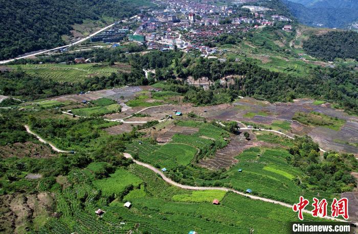 圖為西藏林芝市墨脫縣城附近的茶田。(無(wú)人機(jī)照片) 李林 攝