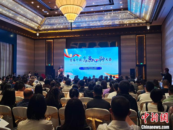 圖為首屆中國高原心胸大會現(xiàn)場?！☆D旦旺姆 攝