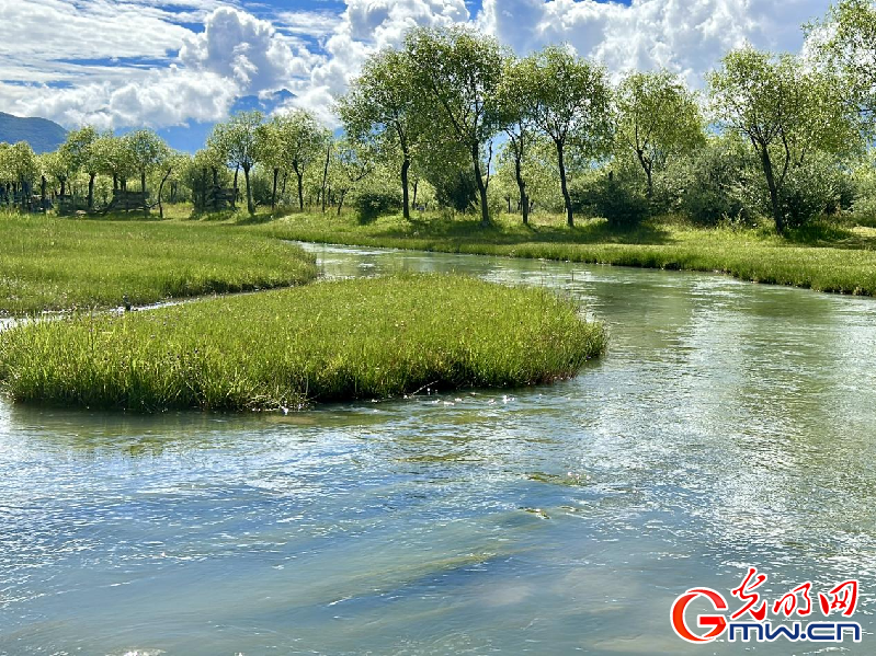 我們的家園丨【組圖】 綠水青山入畫，“金山銀山”筑起