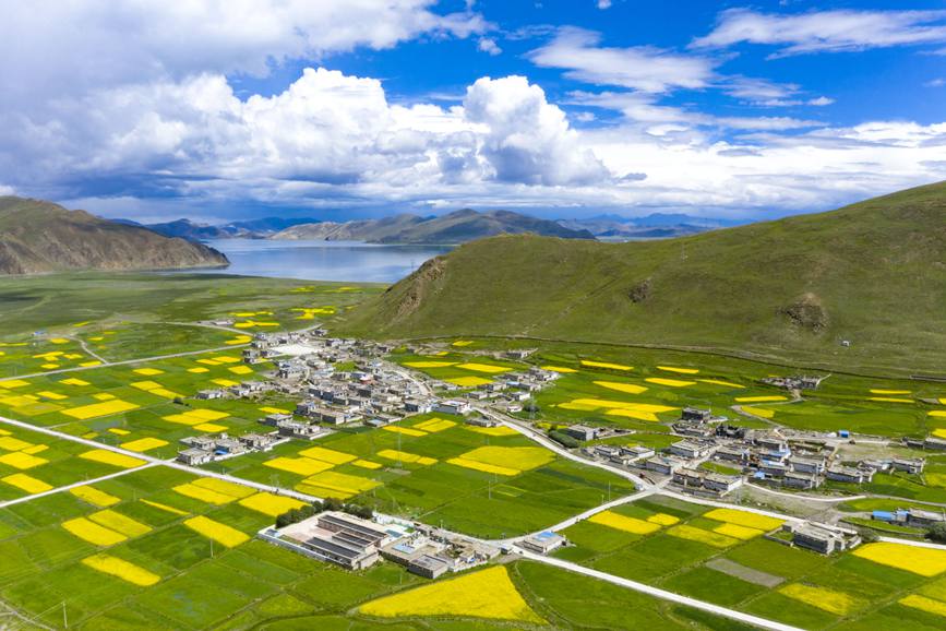 航拍道布龍村，依山傍水，阡陌縱橫。