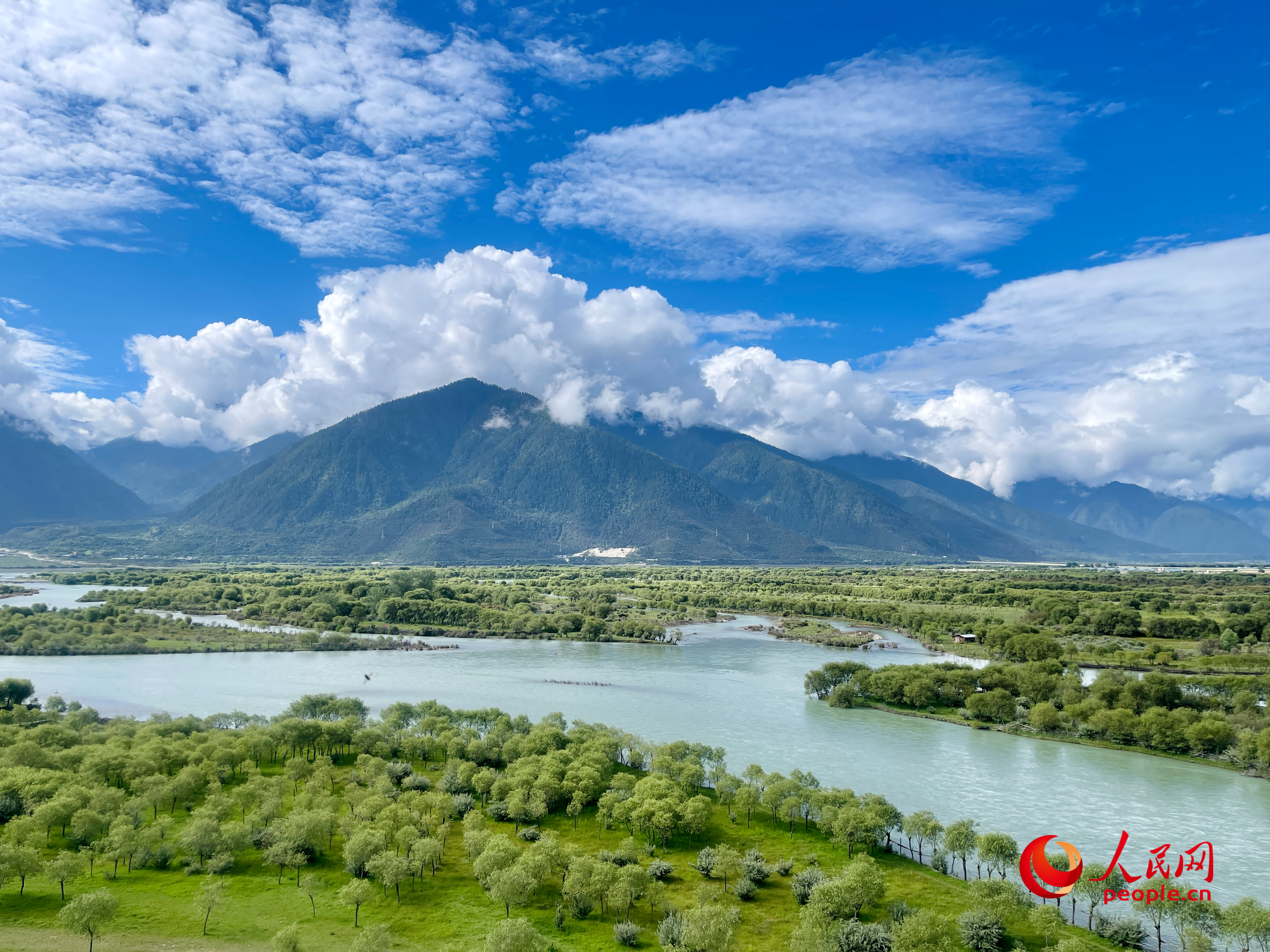 夏日的雅尼國家濕地公園生機盎然，如詩如畫。人民網(wǎng) 周靜圓攝