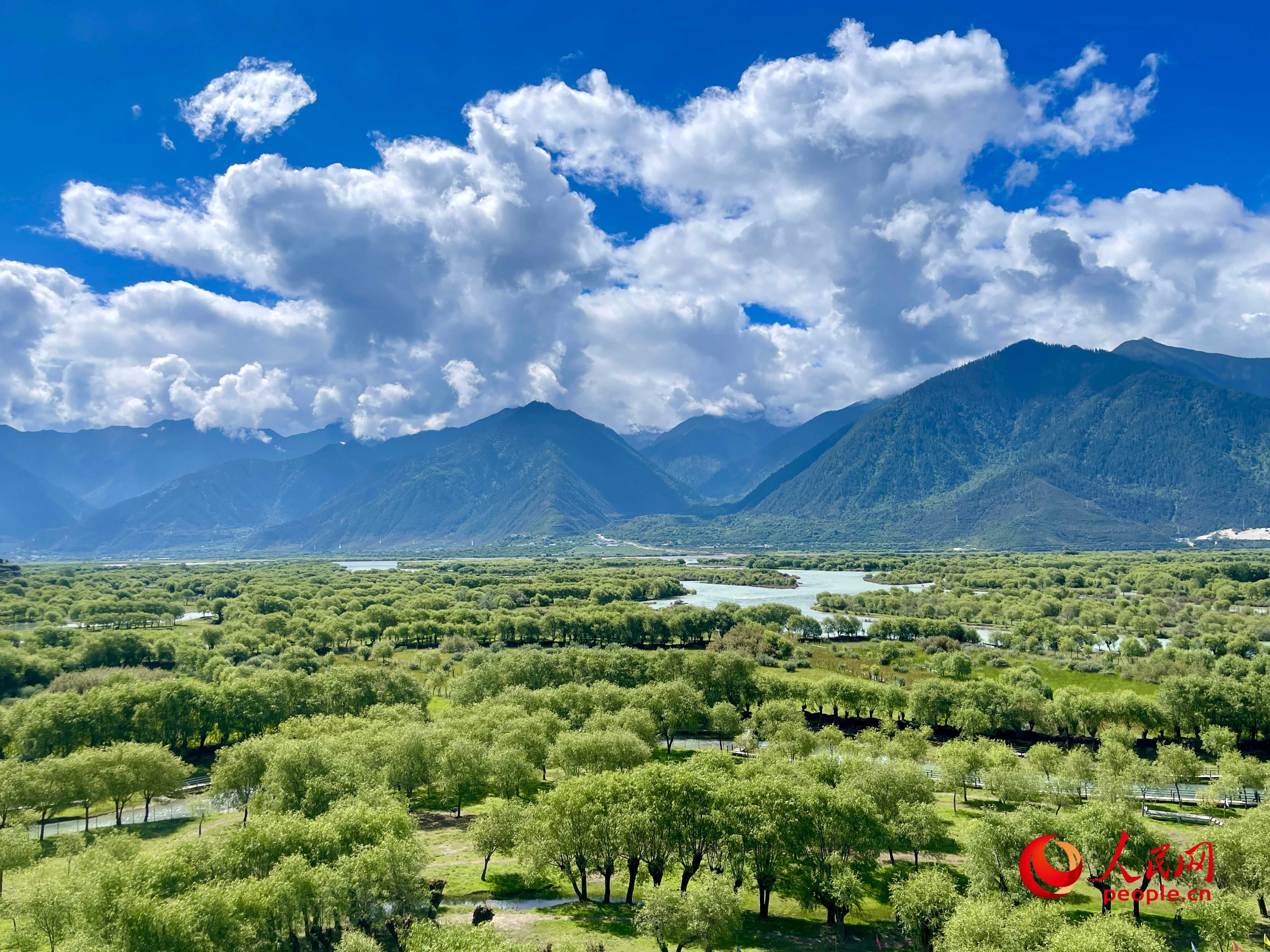 夏日的雅尼國家濕地公園生機盎然，如詩如畫。人民網(wǎng) 周靜圓攝