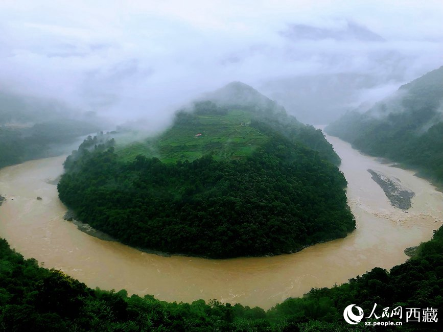 雅魯藏布江大峽谷蛇形拐彎處，山坡上種滿茶樹。