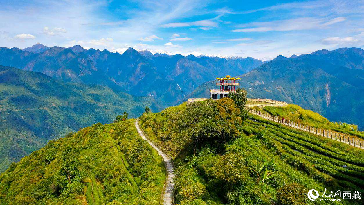 無(wú)人機(jī)航拍墨脫縣格林村蓮花觀景臺(tái)。人民網(wǎng)記者 次仁羅布攝