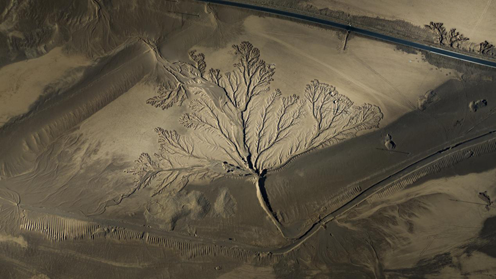 無(wú)人機(jī)視角下的西藏阿里地區(qū)改則縣“大地之樹(shù)”景觀。尼瑪多吉攝