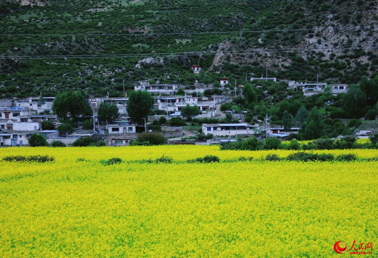 鄉(xiāng)村振興美好畫(huà)卷。人民網(wǎng) 李海霞攝