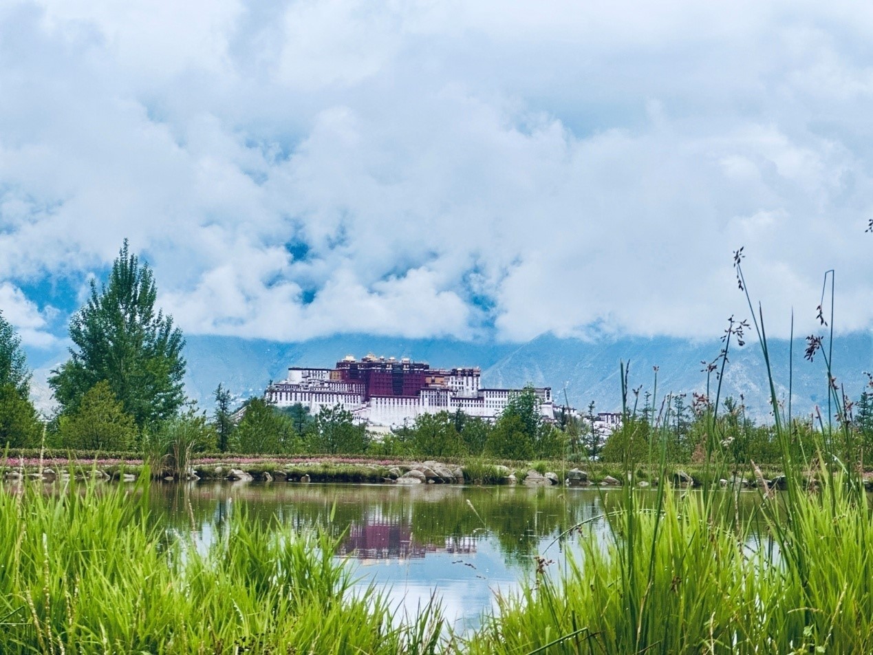 在南山公園遠(yuǎn)眺布達(dá)拉宮。人民網(wǎng)記者 益西康珠攝