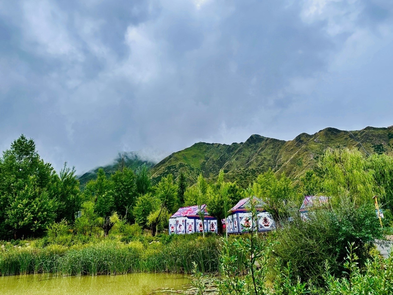 郁郁蔥蔥的南山公園。人民網(wǎng)記者 益西康珠攝