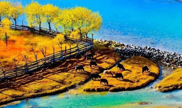 懂西藏的人，一定不會(huì)錯(cuò)過(guò)林芝的秋天