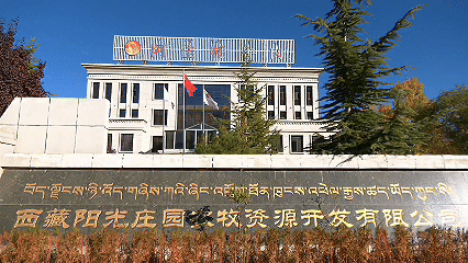 青稞“蛻變”，牦牛“出圈”！看西藏農(nóng)牧民的“十四五”豐收答卷