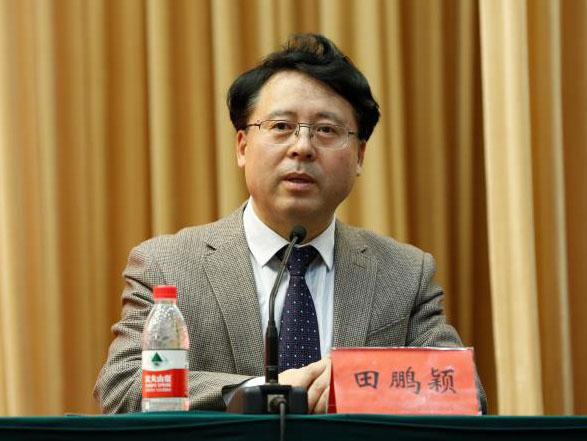 田鵬穎：投入其中、樂(lè)在其中、安身其中