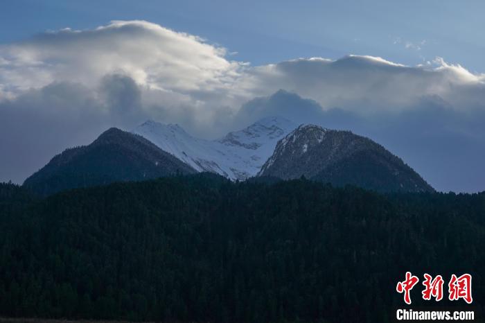 西藏波密縣的原始森林與雪山風(fēng)光?！〗w波 攝
