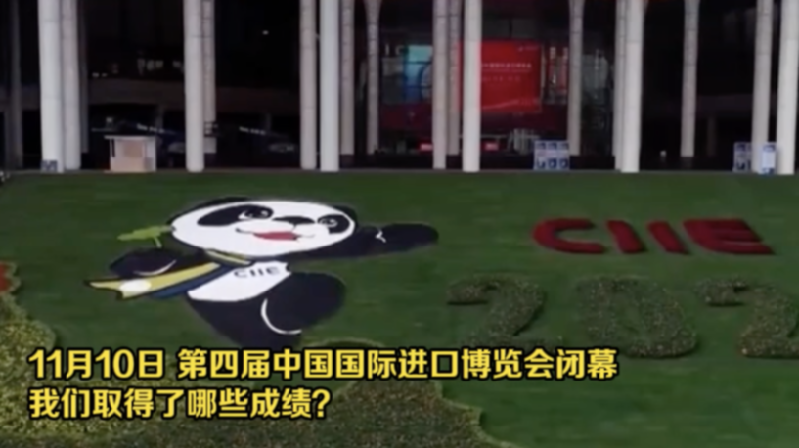 從進(jìn)博會看入世20年 這份成績單請收好！