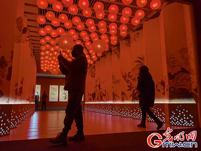 【新春走基層】視頻丨虎年看虎展！來(lái)國(guó)博感受虎文化