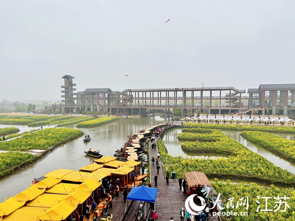 興化千垛菜花旅游節(jié)期間，游客前來打卡。人民網(wǎng) 王丹丹攝