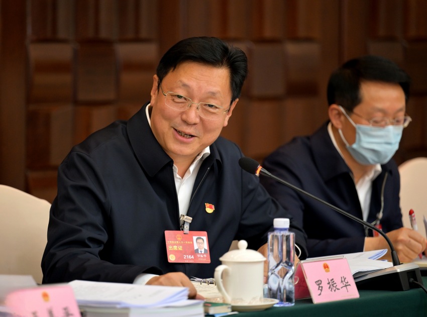全國(guó)人大代表羅振華。